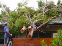 NSW residents poorly prepared for looming storm season: NRMA